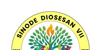 Logo Sinode Diosesan VII
